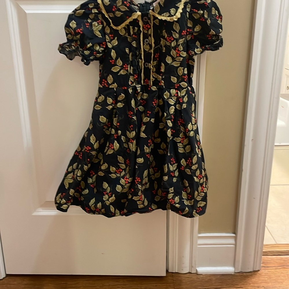 Ivy City Co mini Sophia dress in size 3T.